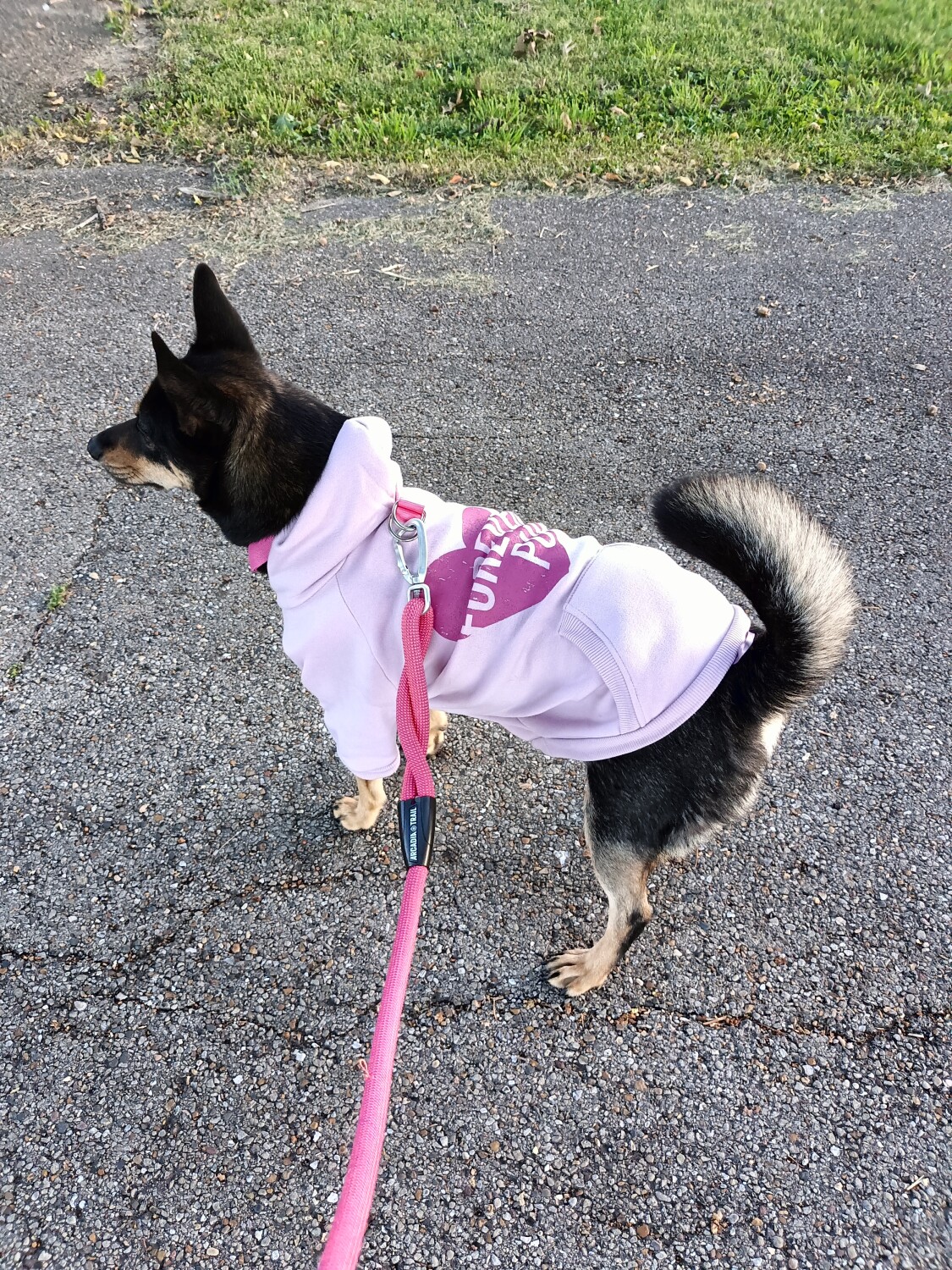 Gracie and her new hoodie