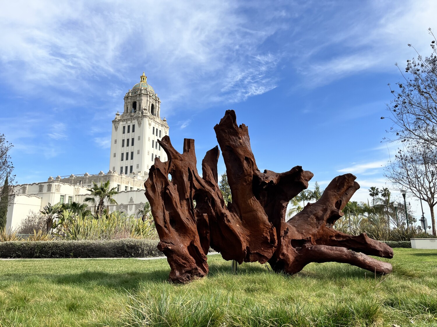 Asymmetrically beautiful