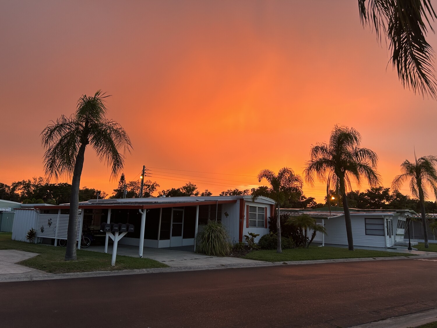 Florida’s Sky on fire
