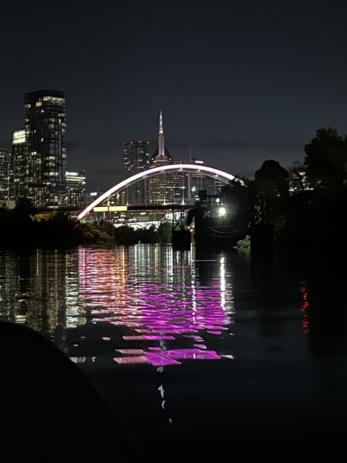 Nashville on the River