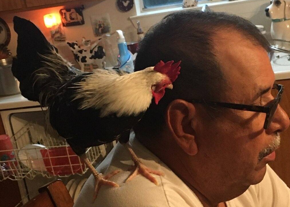 Hock loves his daddy