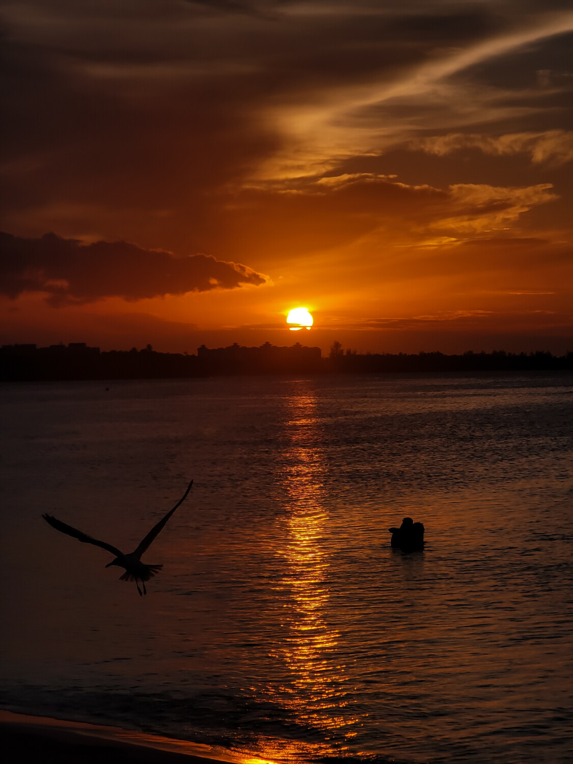 Sunset of a life time!