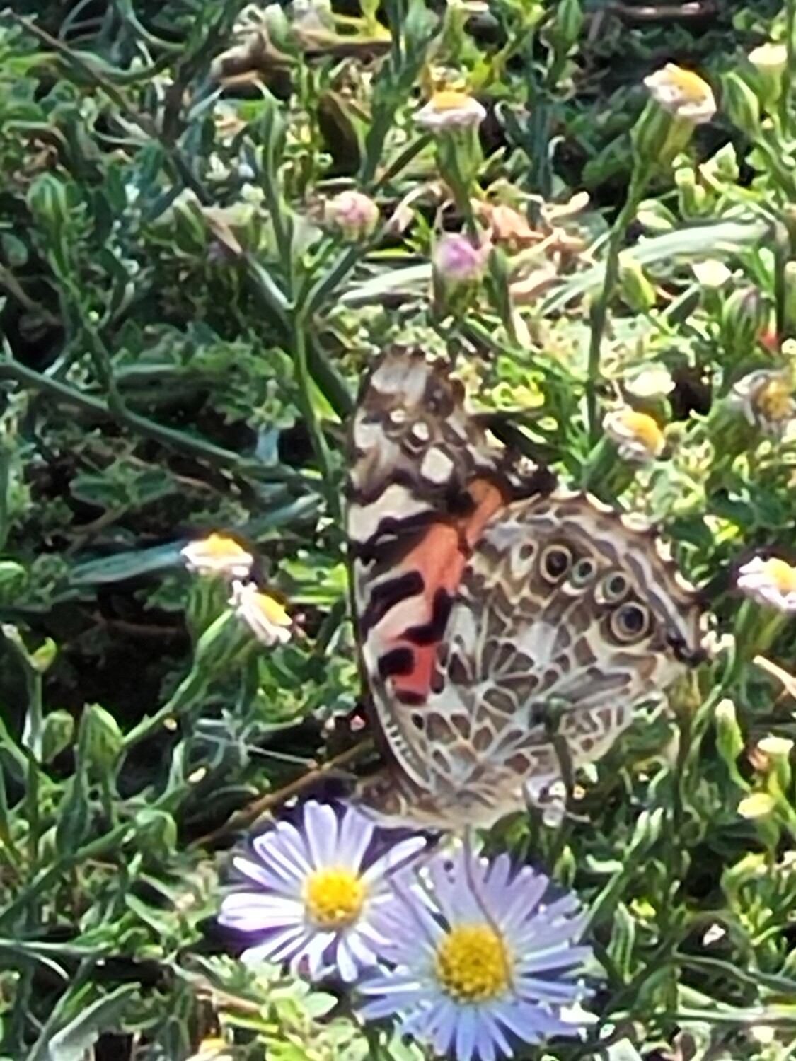 Transformation is beautiful