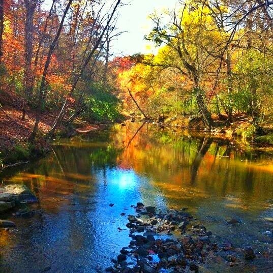 Autumn on Long Creek