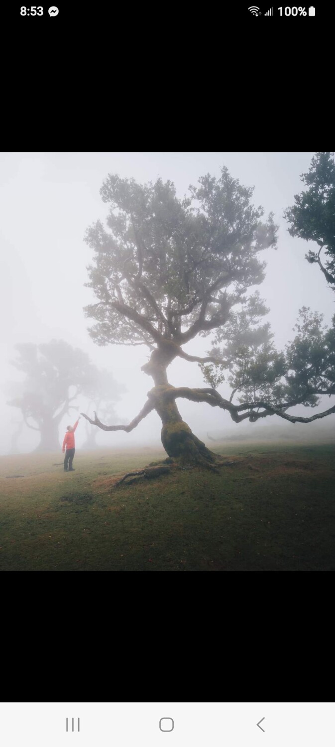 Halloween Friendship