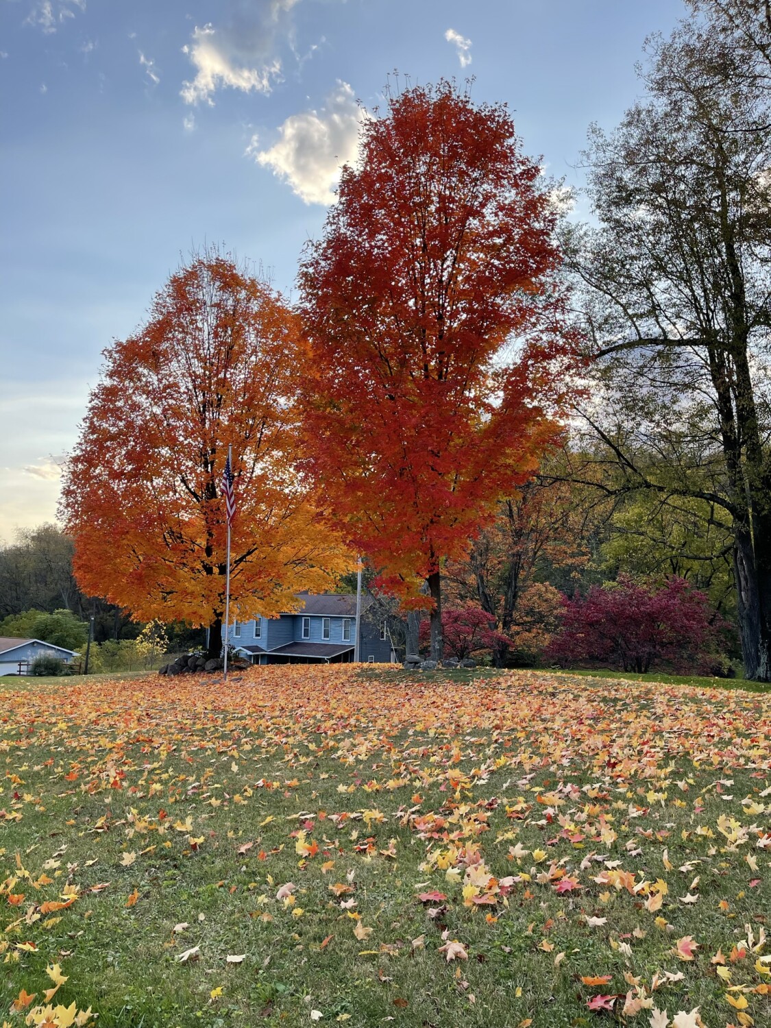 Fall in Pittsburgh