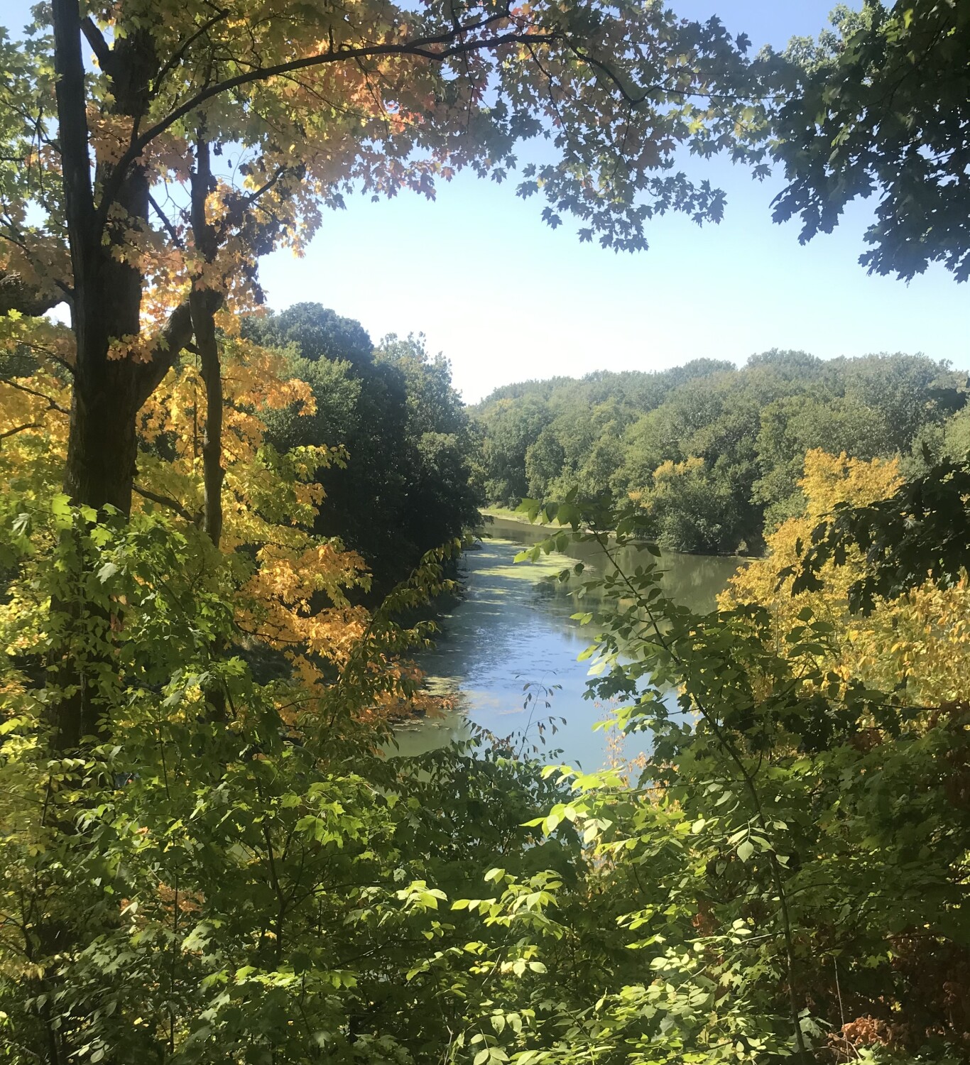 First day of Autumn in Indiana.