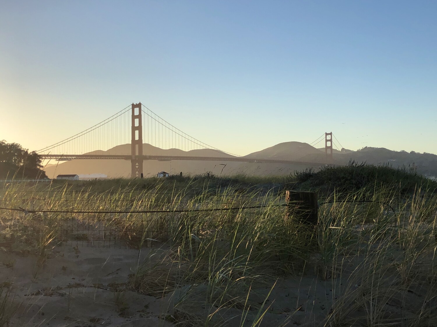 Golden Gate Bridge from Chrissy Field