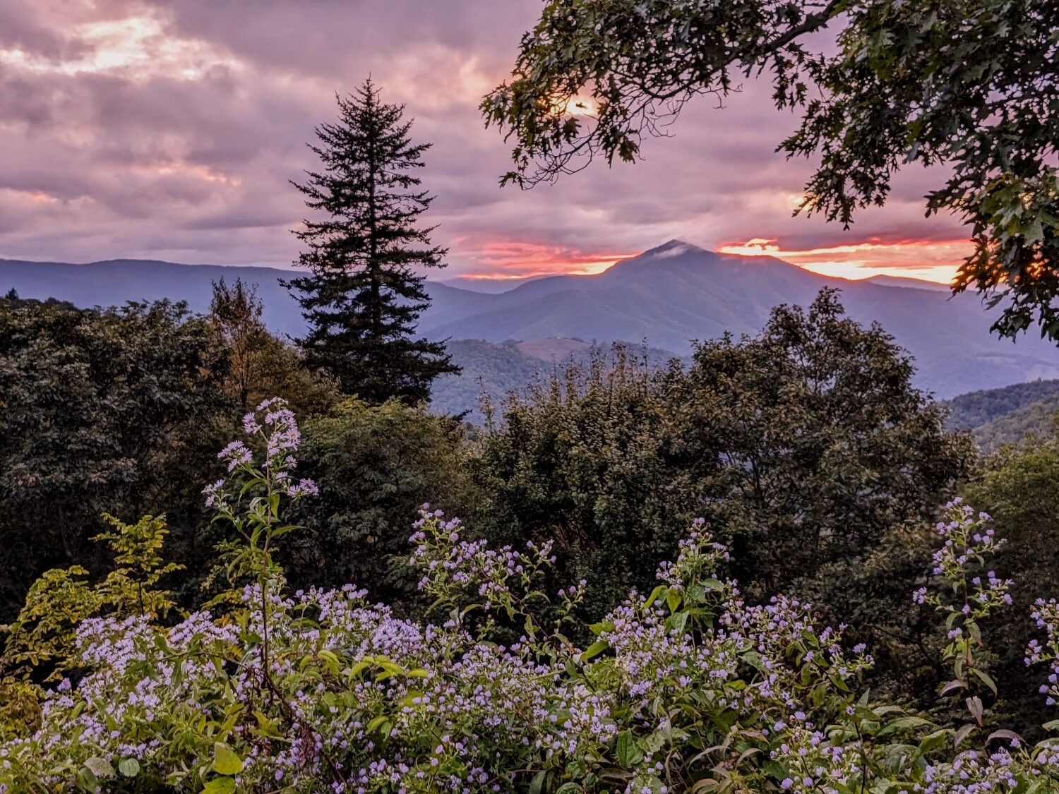 Cold Mountain Afterglow