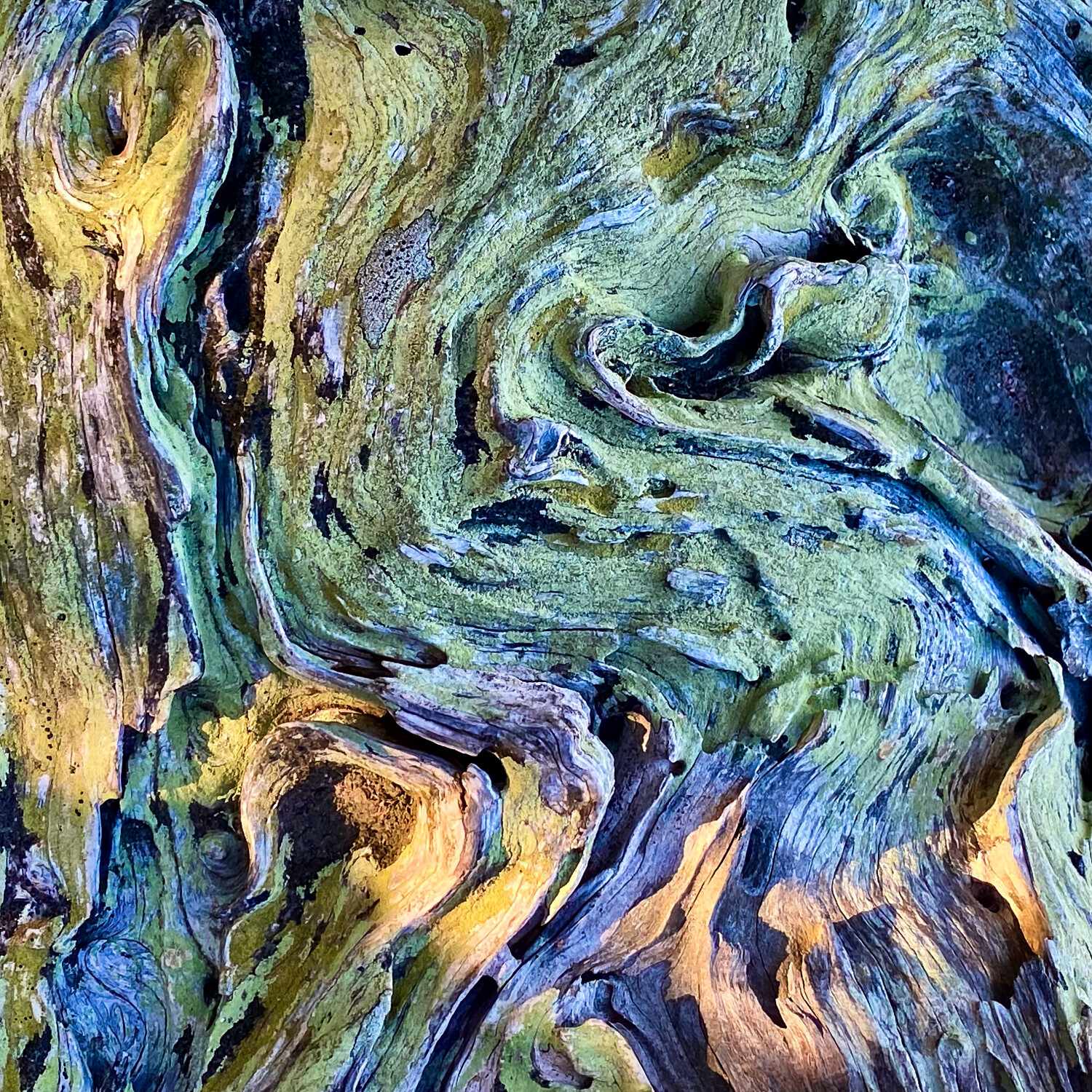 Wood Abstract 1