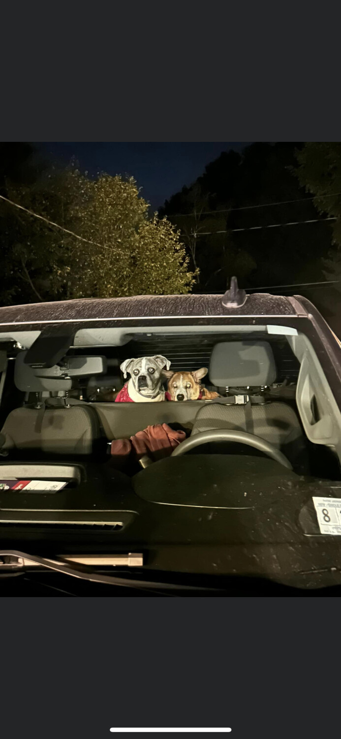 Who’s driving this thing???