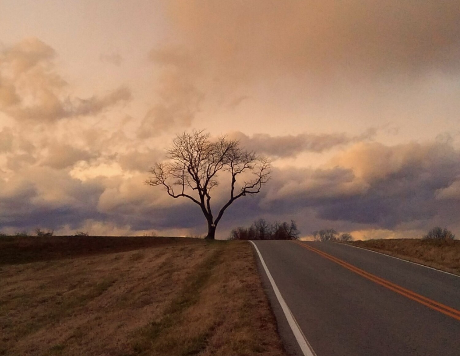 "The road less traveled"