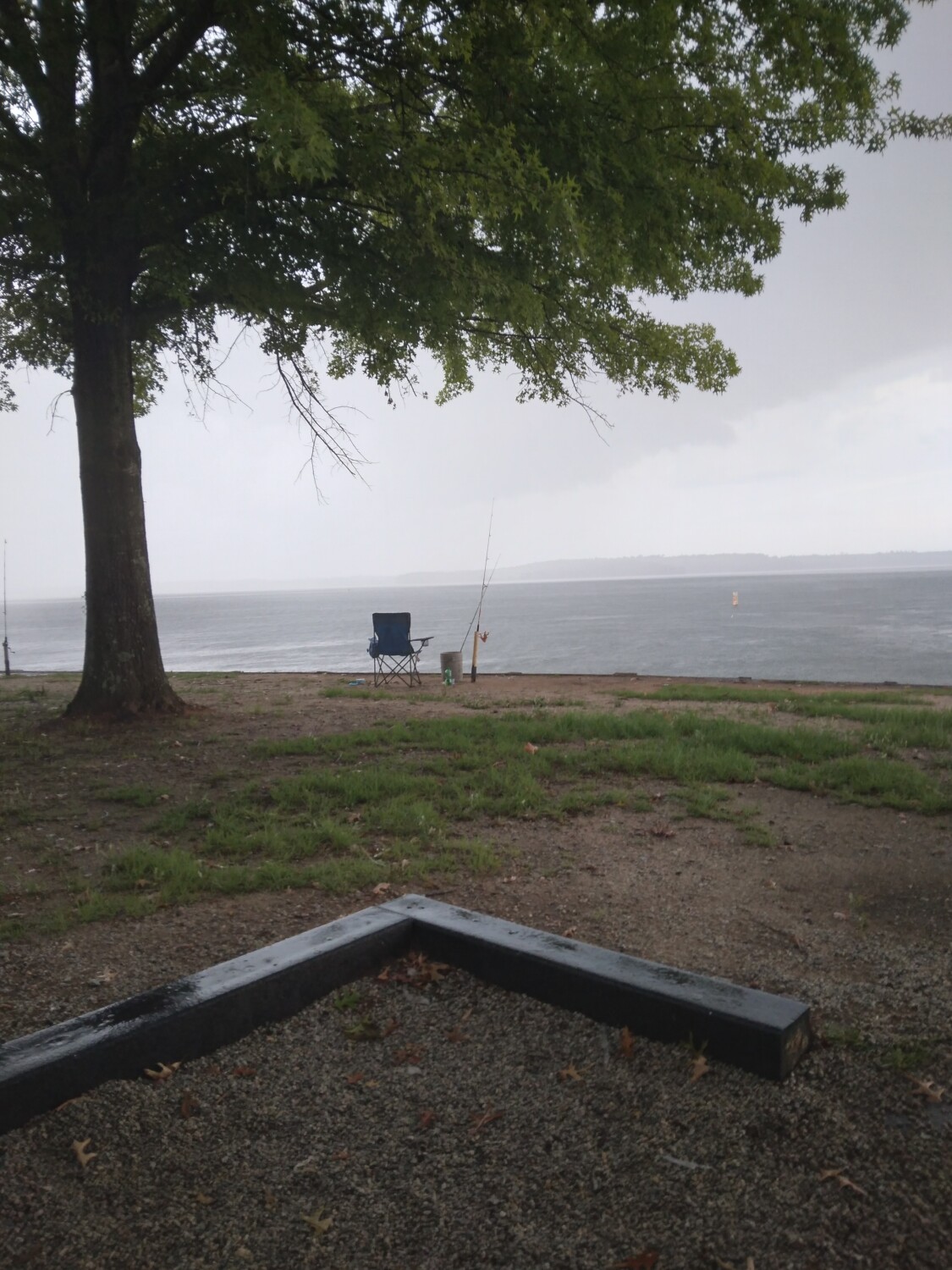 Last Time Under The Old Fishing Tree.