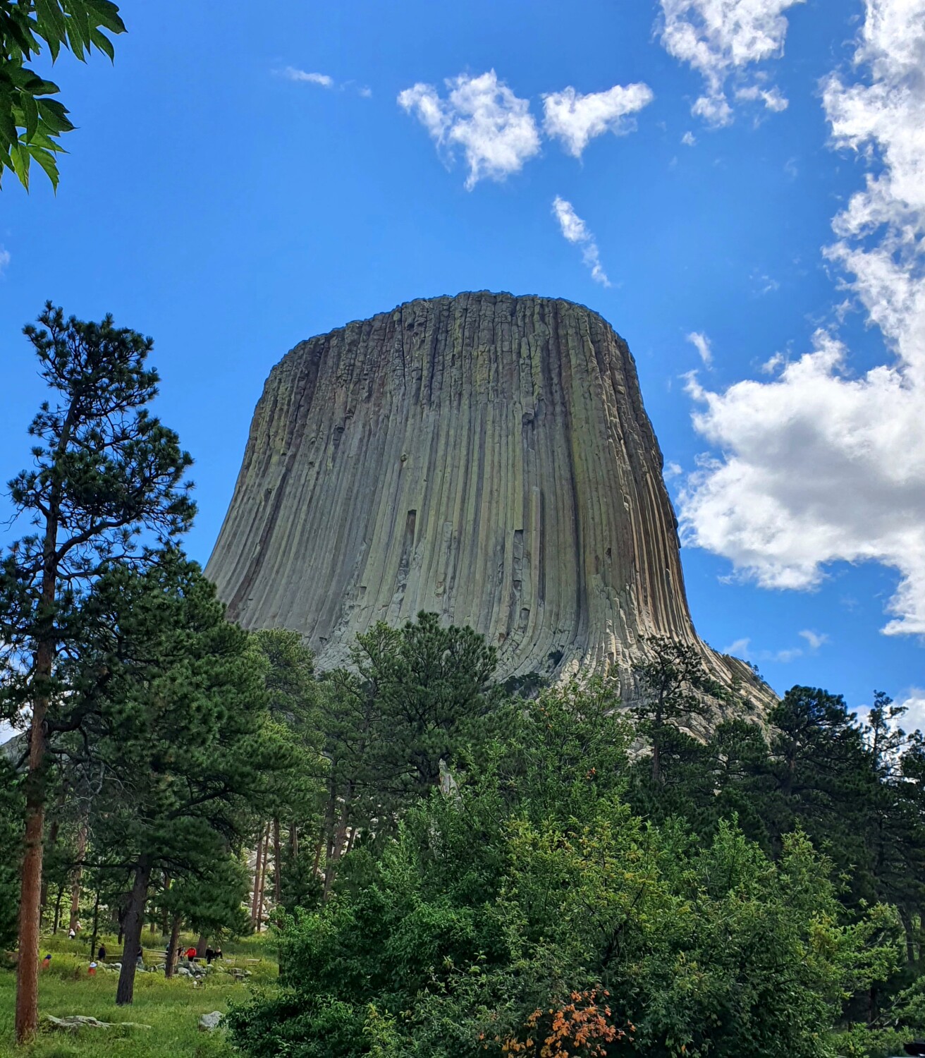 Devils Tower