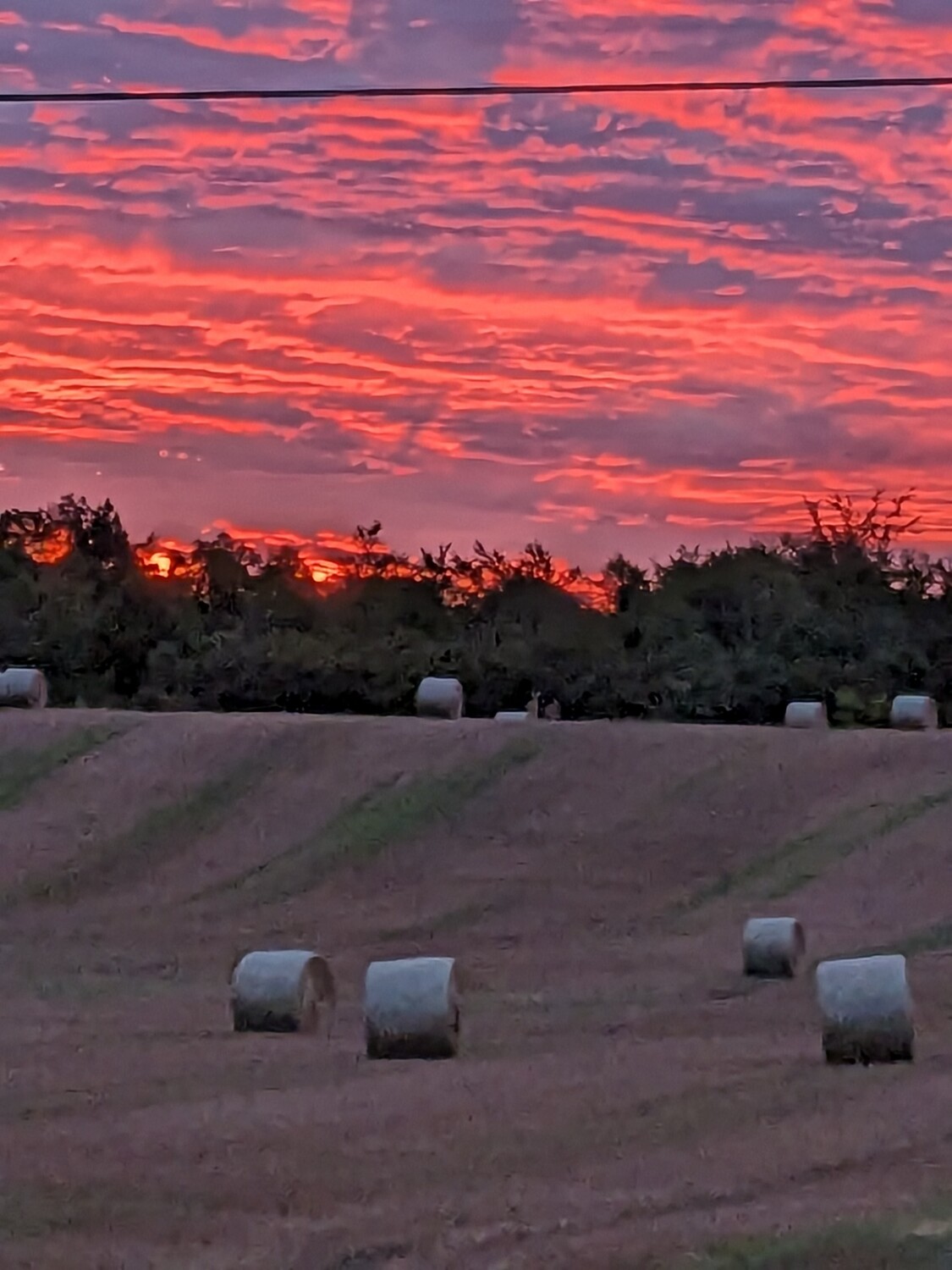 A Country Sunrise