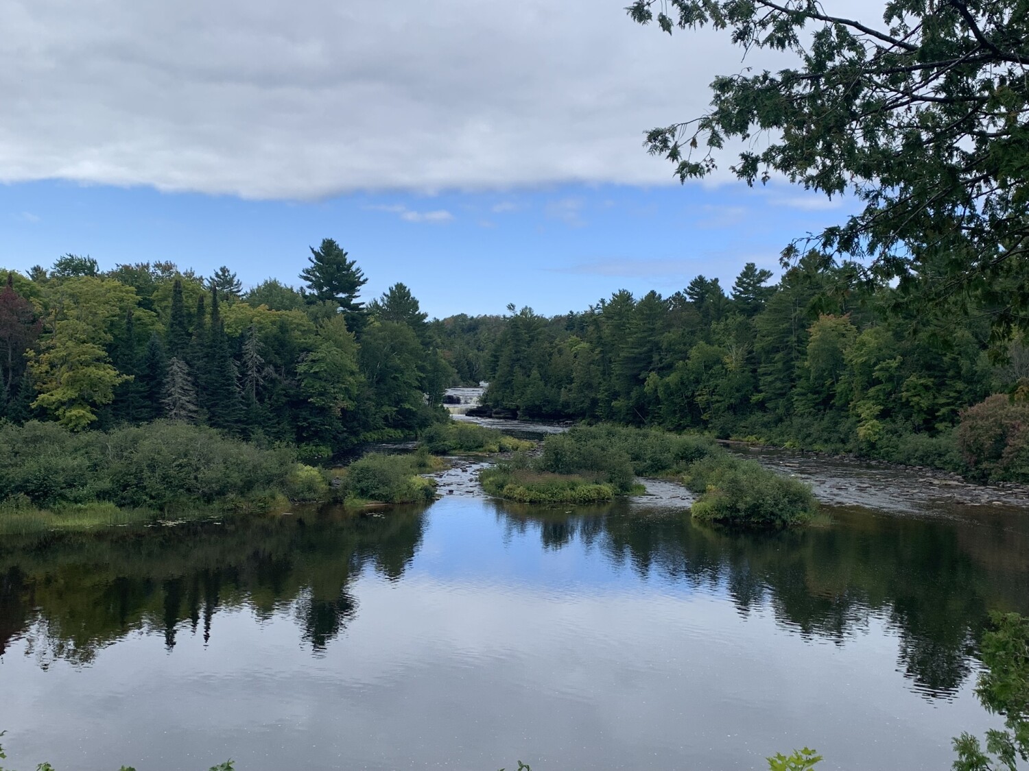 Nature’s Reflection