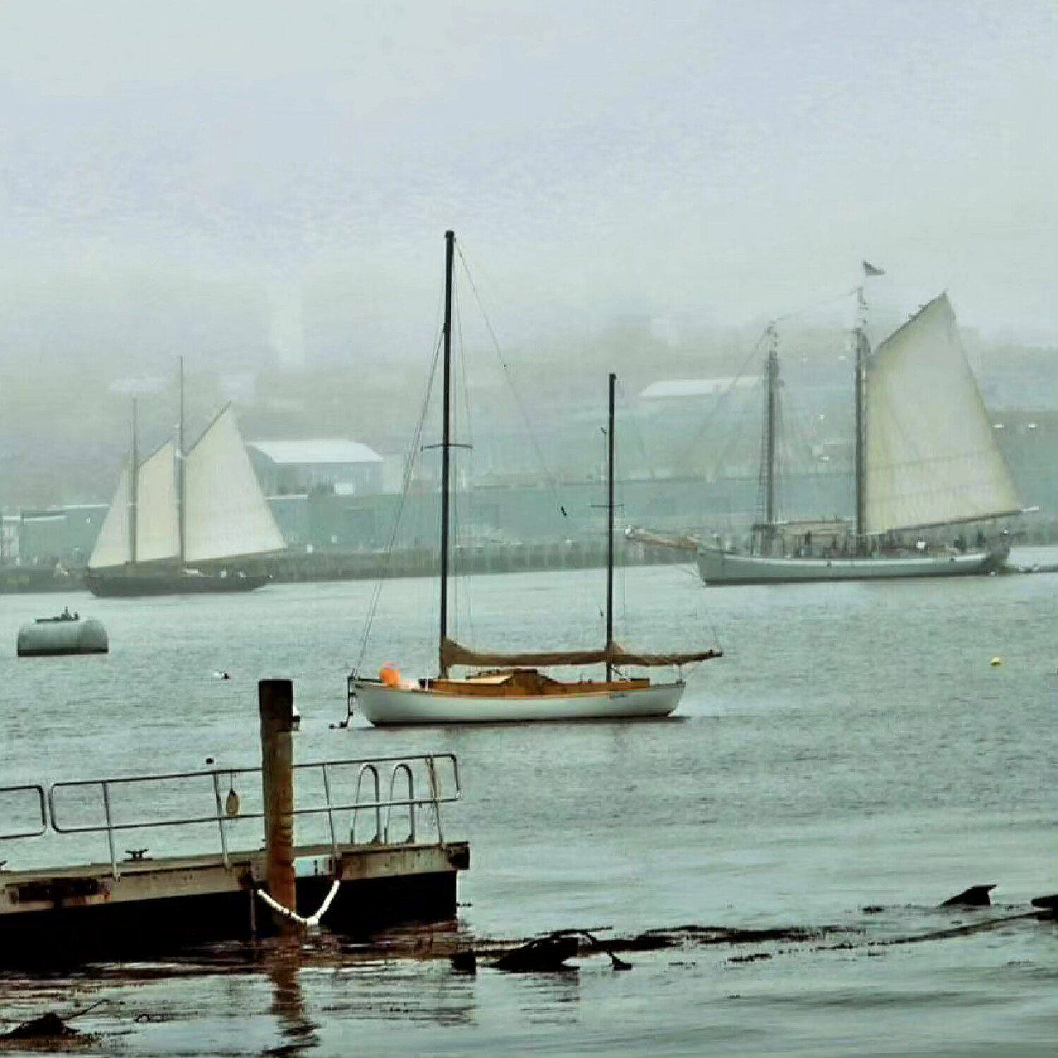 Foggy day on the bay.