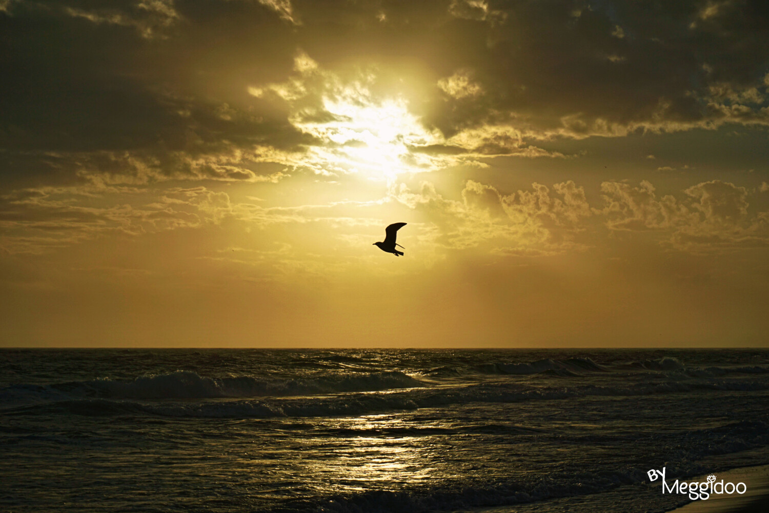 Ascending to the Heavenlies