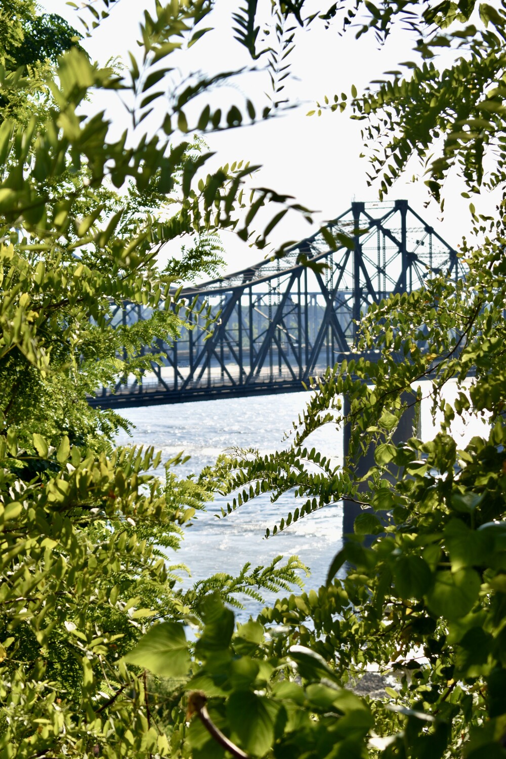 Glimpse of Might Mississippi