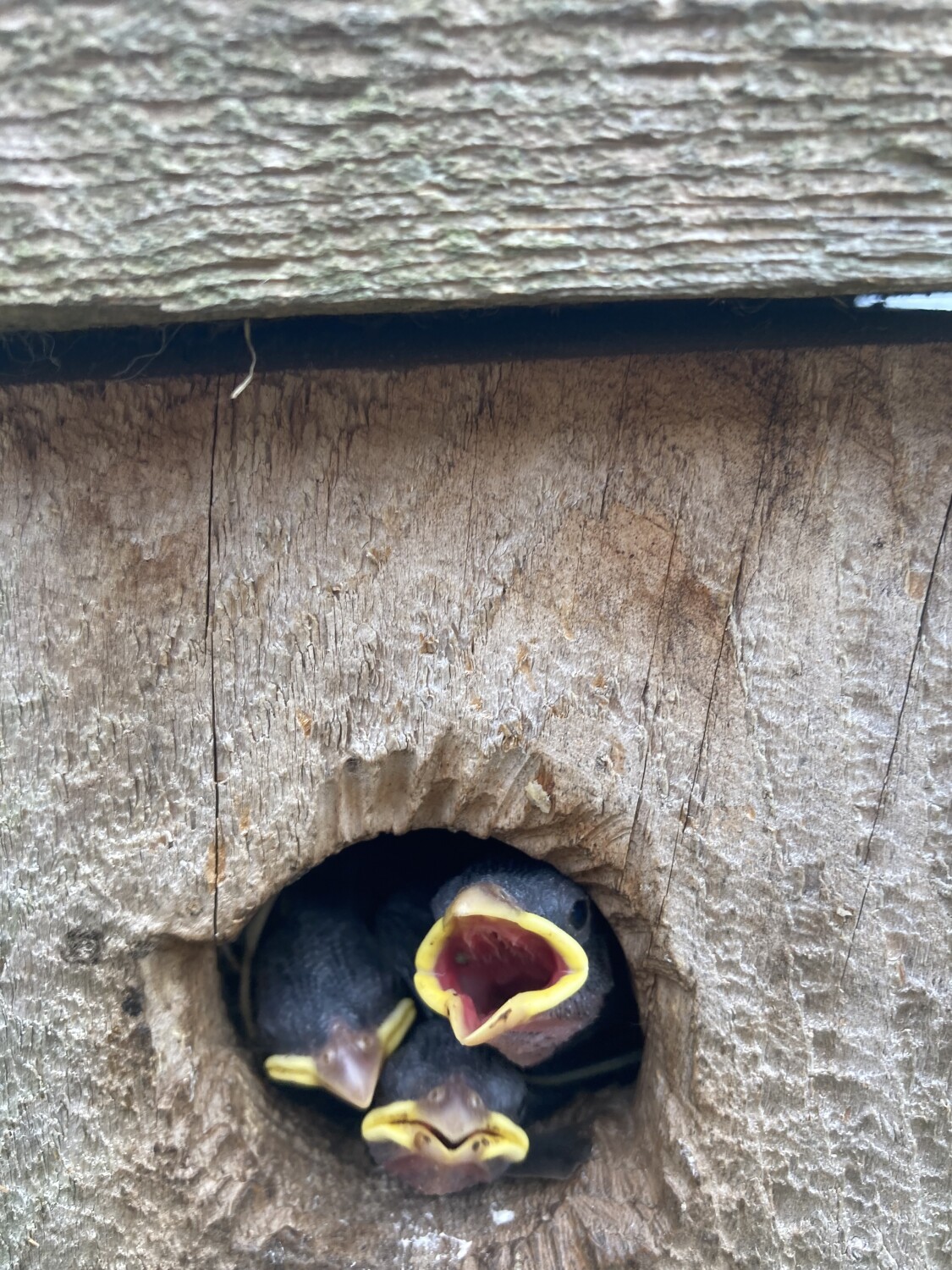 Where have you been.