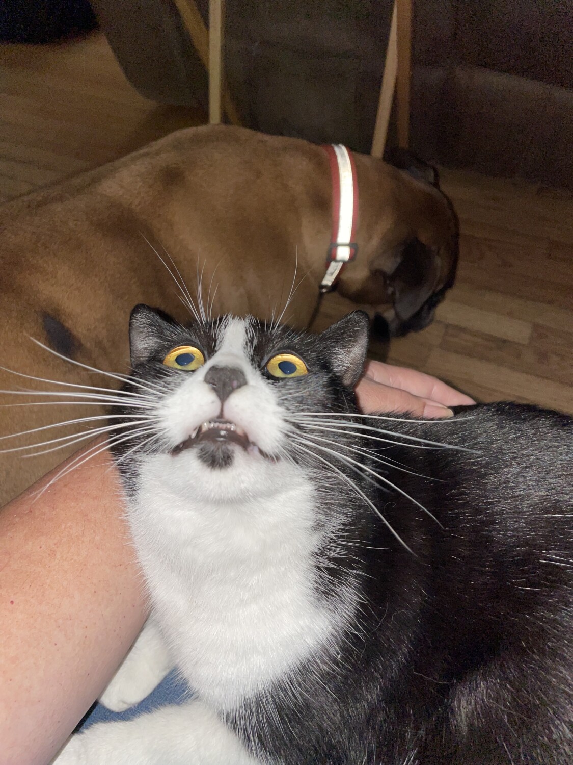 I think i saw a ghost !