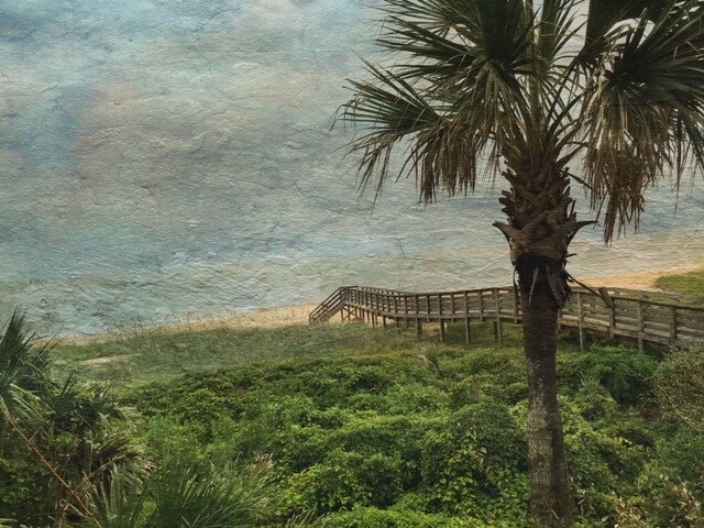 Sea Hammock to the Sea