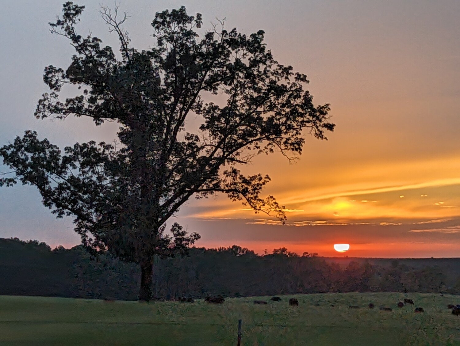 Summer Sunset in Arkansas