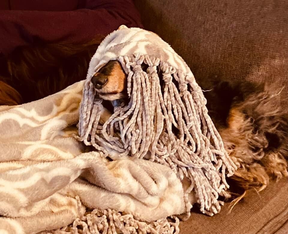 Gabby- you can’t find me!!