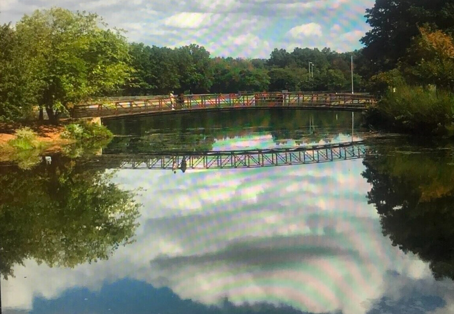 Reflections in Water