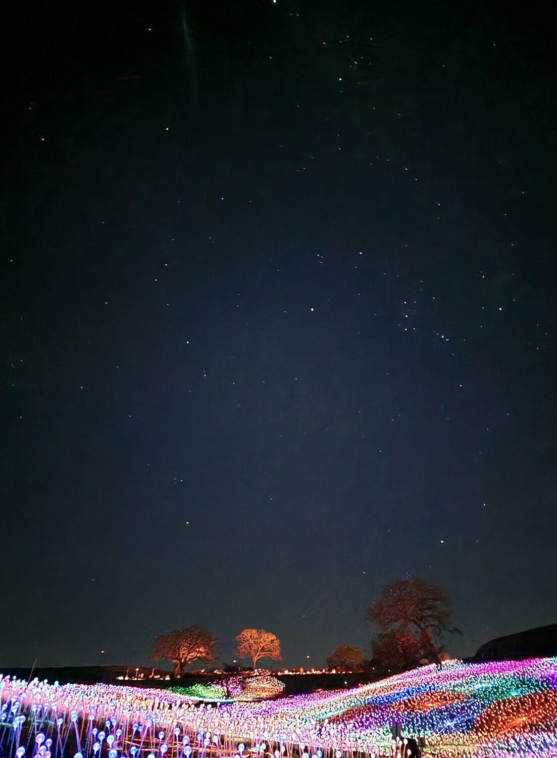 Constellation lights