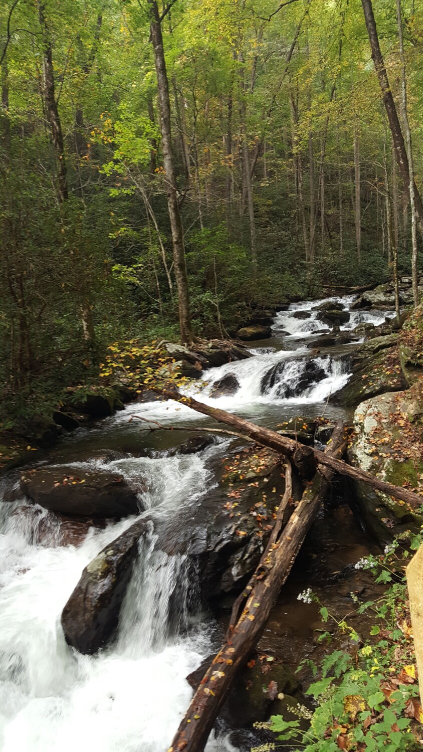 Lower Anna Ruby Falls