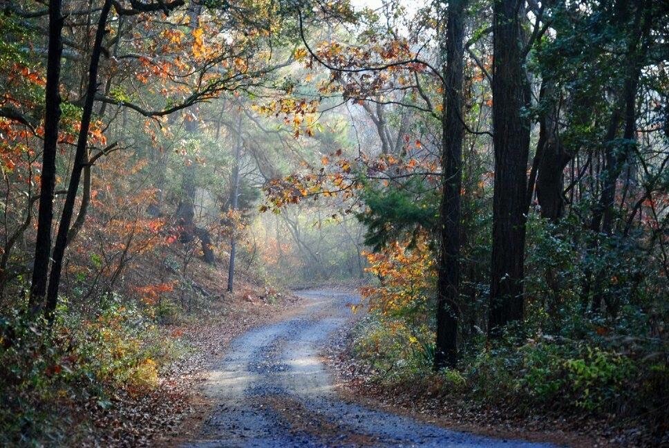 Walking A Colorful Path