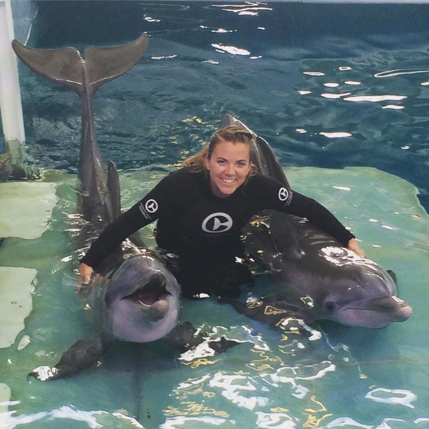 Dolphintale the stories