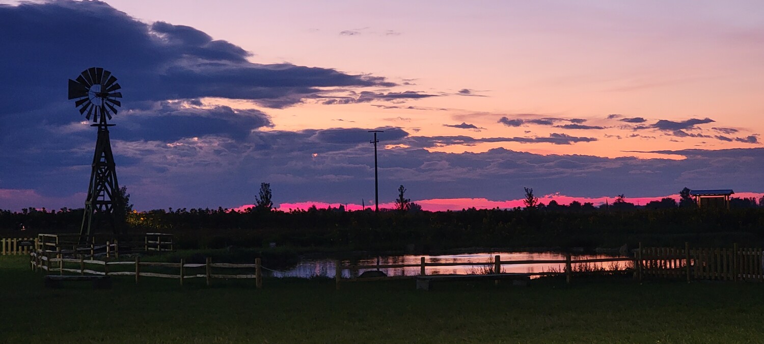 Sunset at  farmstead