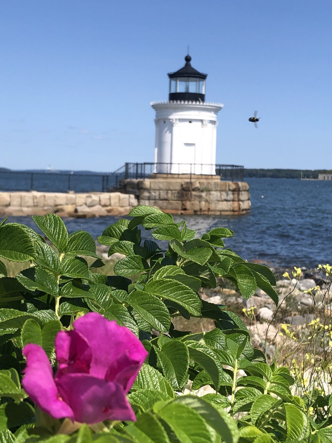 “Bug Light” in Maine