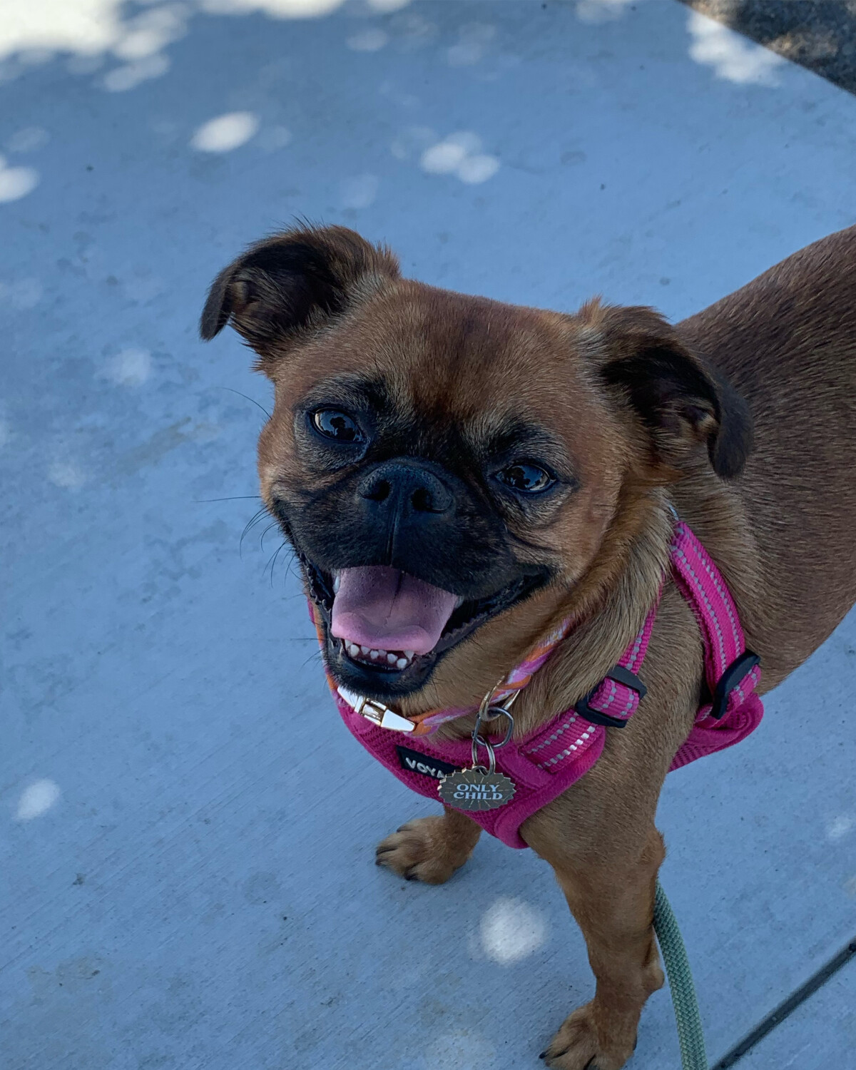 I’m ready to go, grandma!