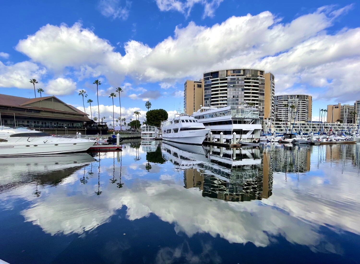 After the storm comes beauty