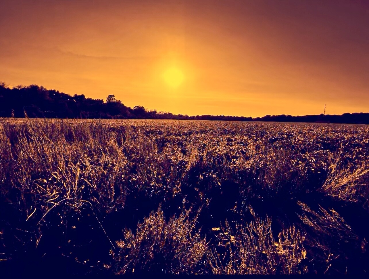 Howard County Sunset