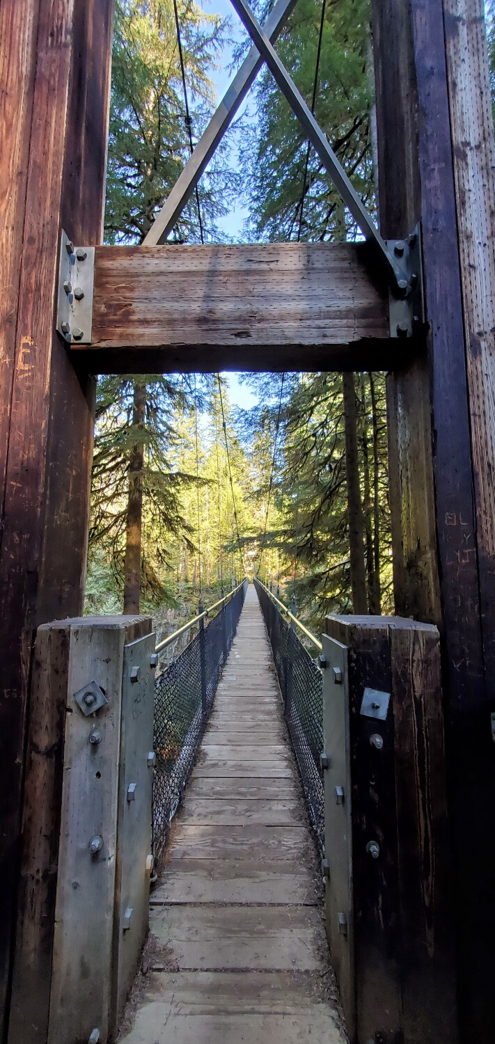 Bridge to the woods