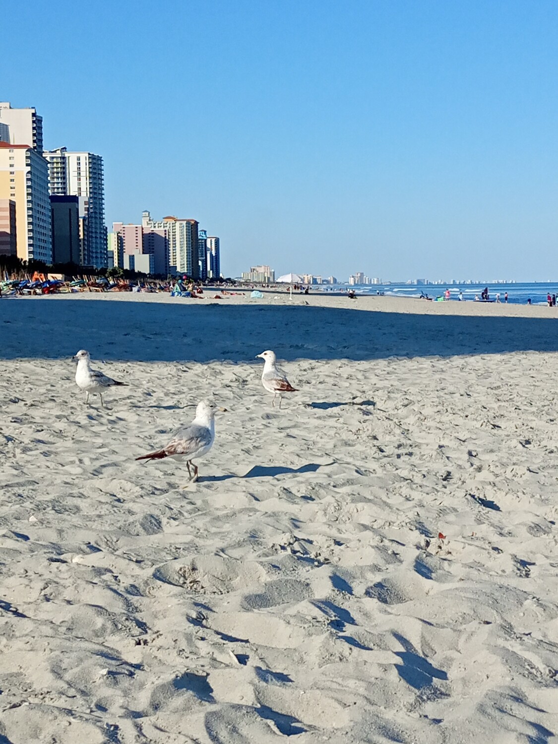 "1 2 3 camera shutters"