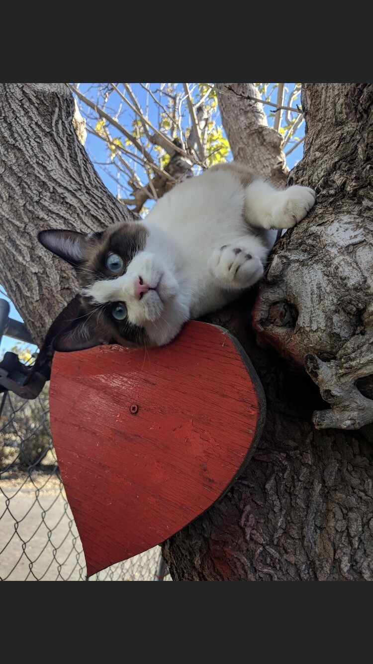 Yuli had big heart ❤️