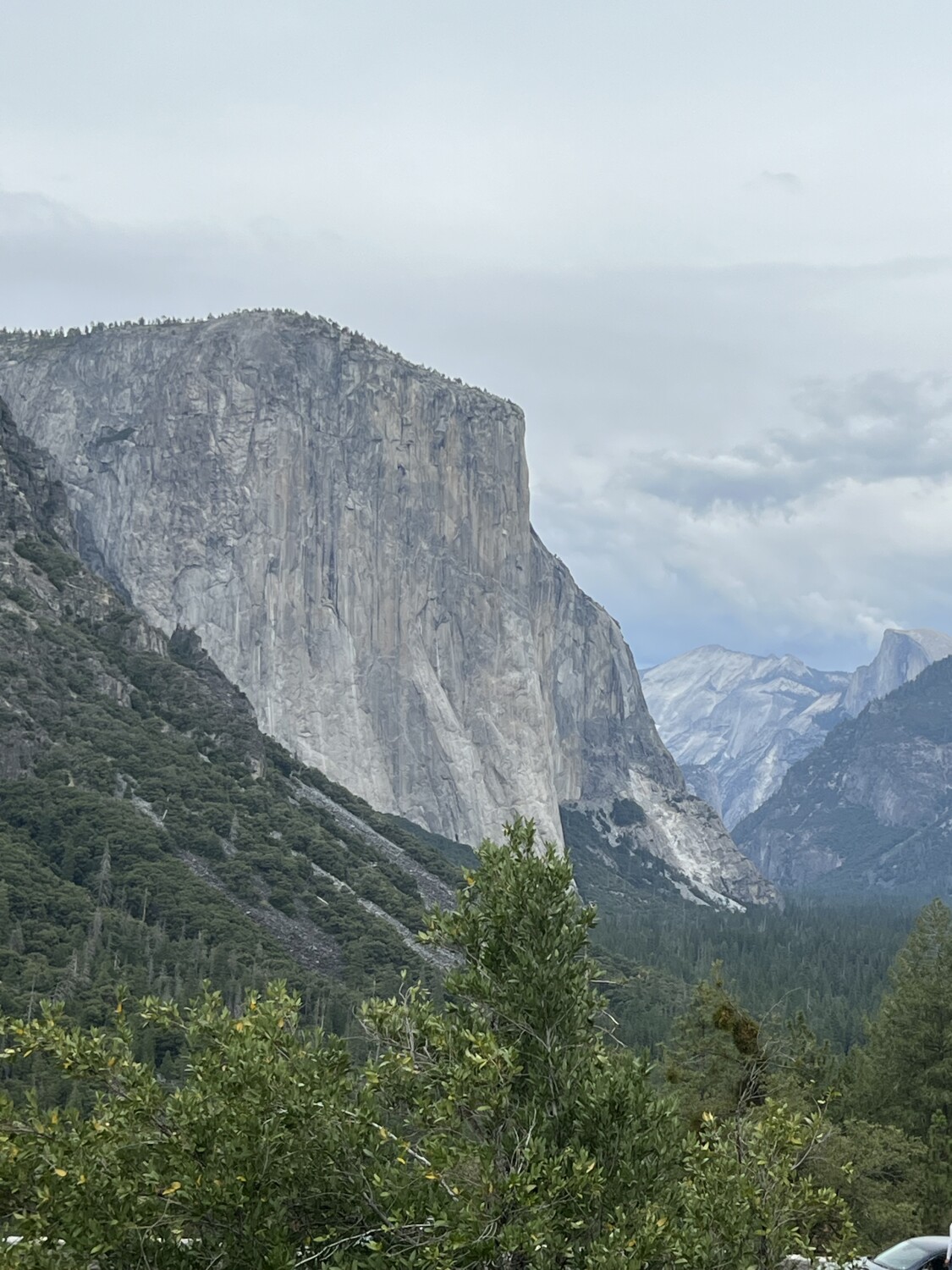 Yosemite National Park