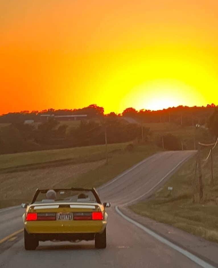 Daisy driving into the Sunset