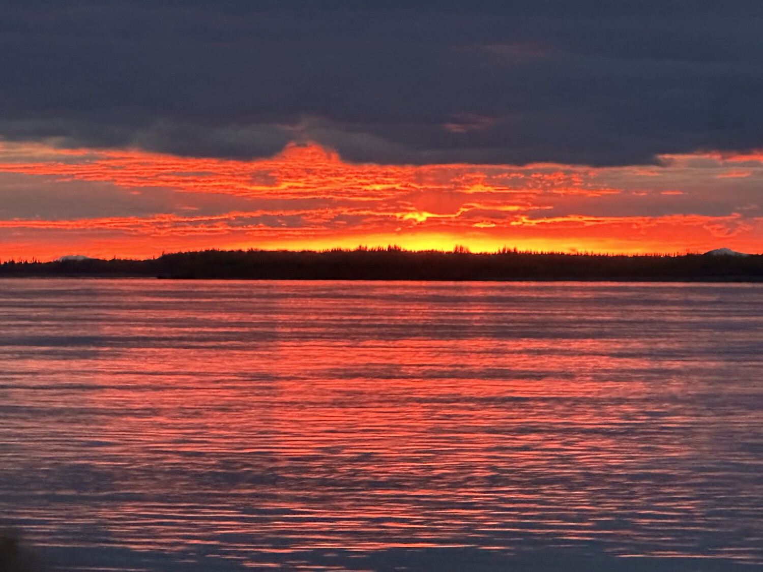 Yukon River  near Beaver Ak
