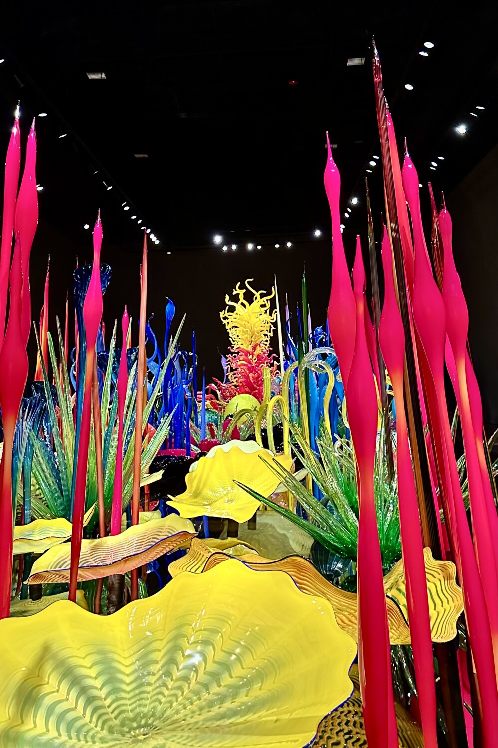Chihuli in Seattle