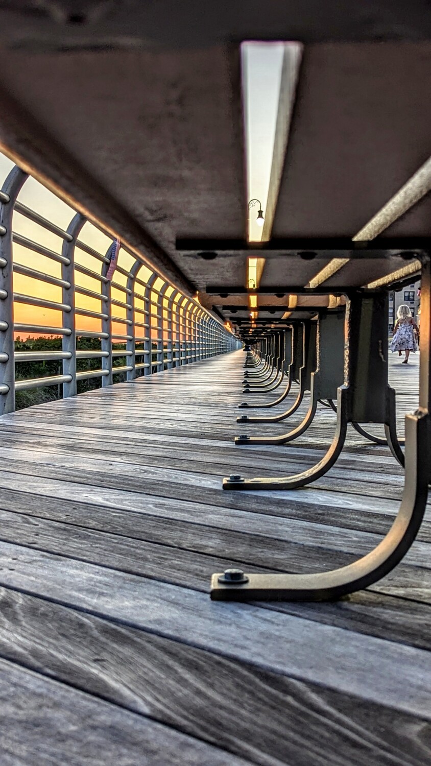 Beauty Under The Benches