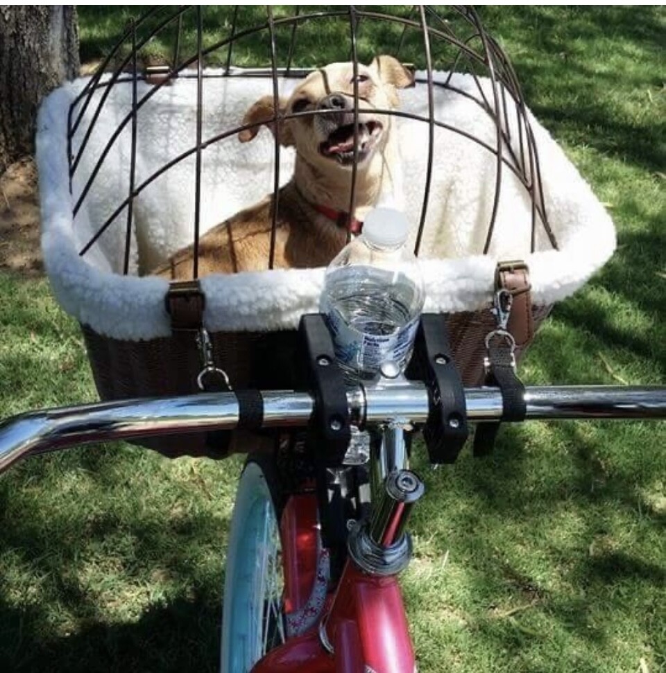 Brandy on her bike