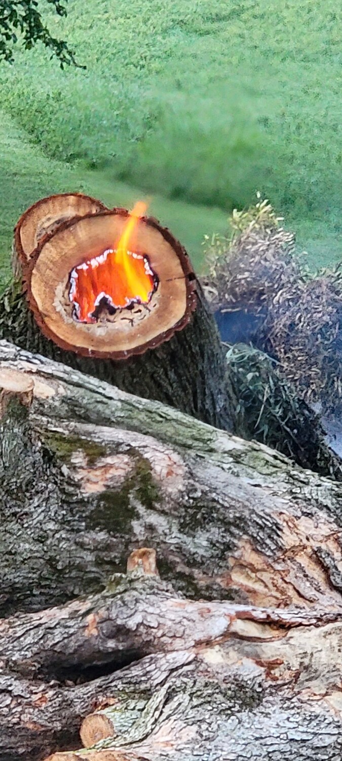 Burning log