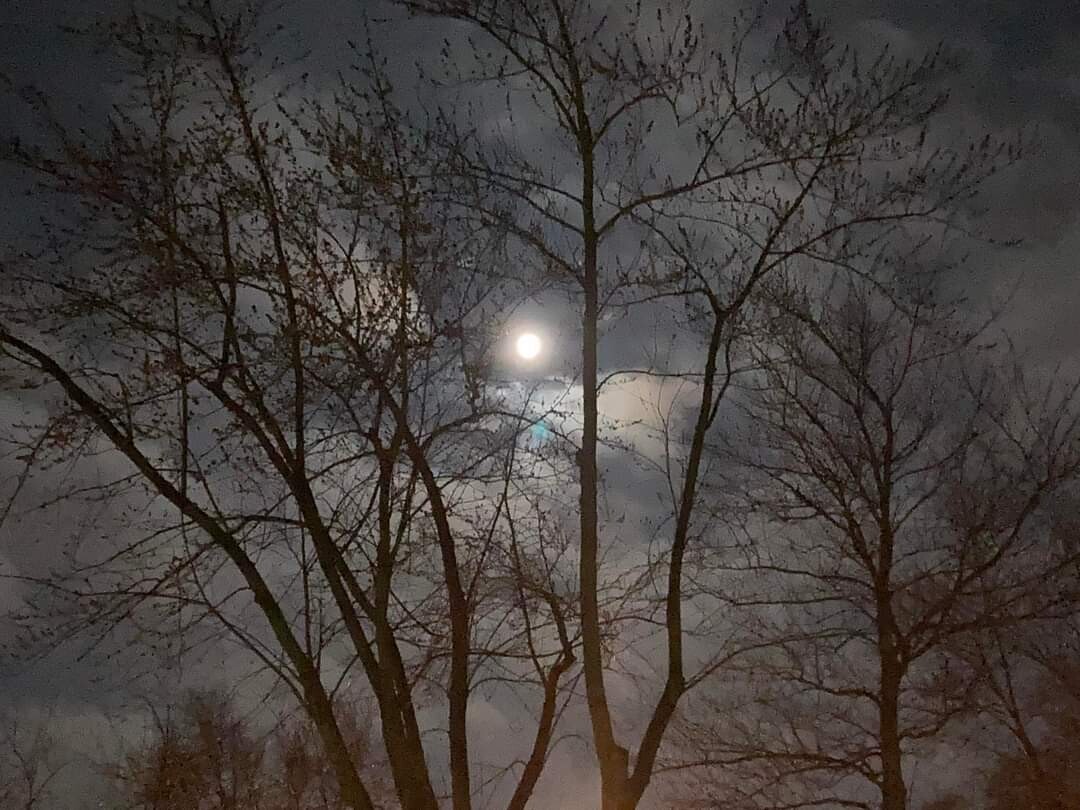 Light to Our Darkness