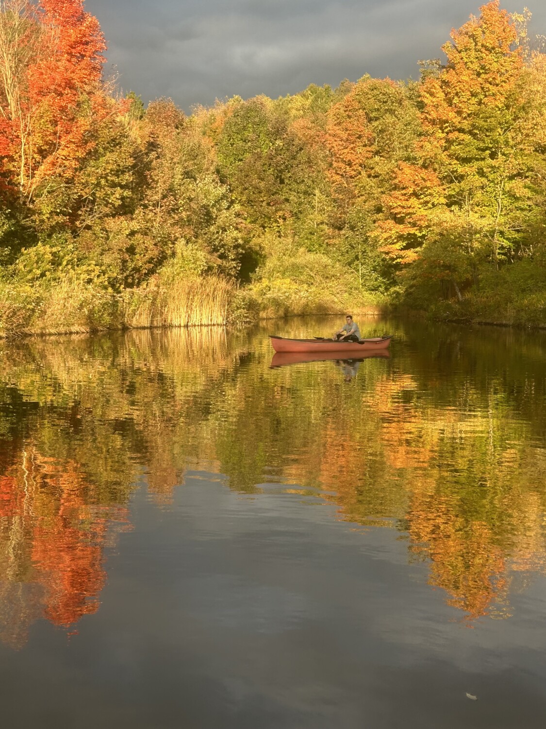 Magnificent Solitude